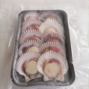 Bandeja Ostiones 10 Unidades